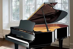 visual-c3-studio caracteristicas yamaha serie SX 6